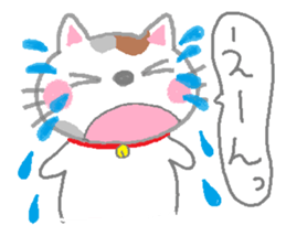 tortoiseshell cats sticker #1069240