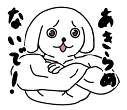 Adorable dog & Cheeky cat sticker #1069284