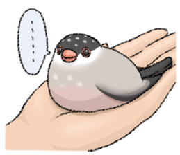 TENORI Birds sticker #1071247