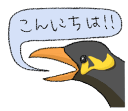 TENORI Birds sticker #1071252
