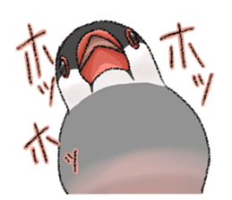 TENORI Birds sticker #1071263