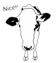 The cows sticker #1074427
