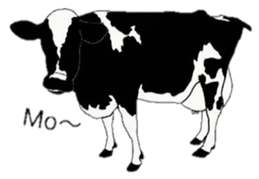 The cows sticker #1074429