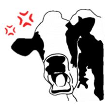 The cows sticker #1074432