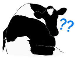 The cows sticker #1074433