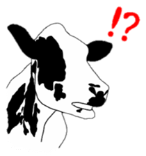 The cows sticker #1074434