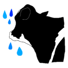 The cows sticker #1074435