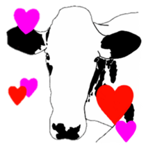 The cows sticker #1074436