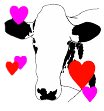 The cows sticker #1074436