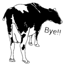 The cows sticker #1074438