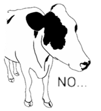The cows sticker #1074441