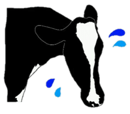 The cows sticker #1074443