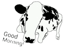 The cows sticker #1074444
