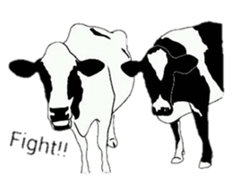 The cows sticker #1074448