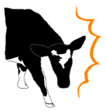 The cows sticker #1074456