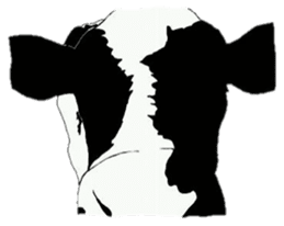 The cows sticker #1074457