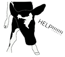 The cows sticker #1074460