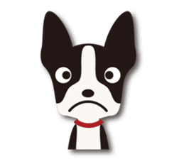Dog Sticker vol.6 Boston terrier sticker #1077027