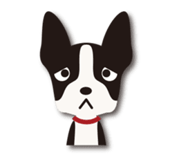 Dog Sticker vol.6 Boston terrier sticker #1077029
