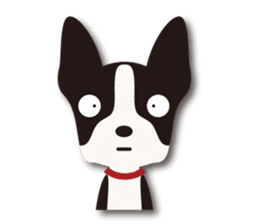 Dog Sticker vol.6 Boston terrier sticker #1077030