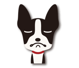 Dog Sticker vol.6 Boston terrier sticker #1077052