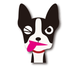 Dog Sticker vol.6 Boston terrier sticker #1077059