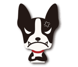 Dog Sticker vol.6 Boston terrier sticker #1077061