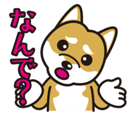 Dog Sticker vol.8 Shiba-Inu sticker #1077820