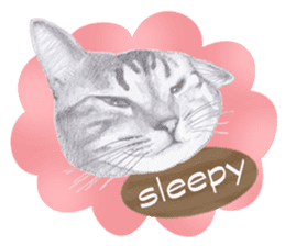 My cat Tama's stickers [For English] sticker #1078427