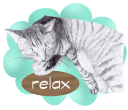 My cat Tama's stickers [For English] sticker #1078434