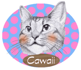 My cat Tama's stickers [For English] sticker #1078437