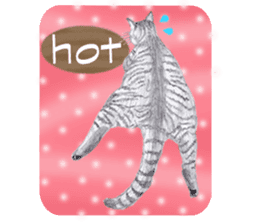 My cat Tama's stickers [For English] sticker #1078444