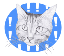 My cat Tama's stickers [For English] sticker #1078446