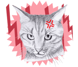 My cat Tama's stickers [For English] sticker #1078450