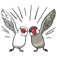 Java Sparrow Stickers By Toratsugumi Java Sparrow Stickers By Toratsugumi