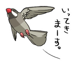 Java Sparrows Sticker sticker #1079154
