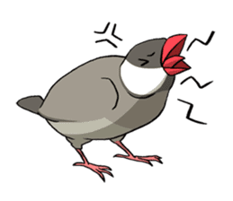 Java Sparrows Sticker sticker #1079160