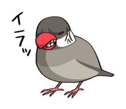 Java Sparrows Sticker sticker #1079161