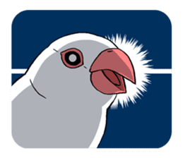 Java Sparrows Sticker sticker #1079179