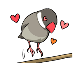Java Sparrows Sticker sticker #1079182