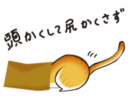 I Love Cat !!!!! sticker #1080636