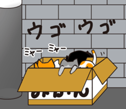 I Love Cat !!!!! sticker #1080654