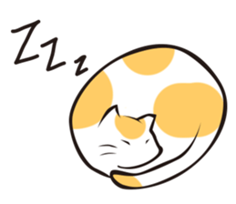 I Love Cat !!!!! sticker #1080663