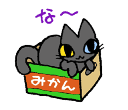 The odd eye Oddy is a black cat. sticker #1083457