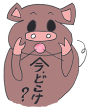 Black pig of Kagoshima sticker #1083949