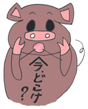 Black pig of Kagoshima sticker #1083949