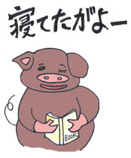 Black pig of Kagoshima sticker #1083977