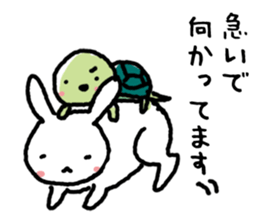 Turtle Sticker sticker #1084299