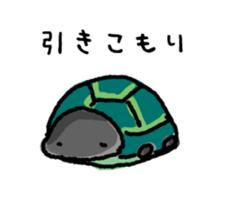 Turtle Sticker sticker #1084305