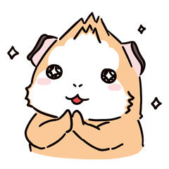 Guinea Pig Fashion (English)